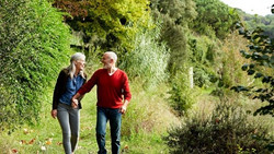 Manche Lebensmittel wirken wie ein Feuerlöscher gegen Demenz