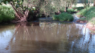 Hünfeld: Flusslauf der Nüst soll naturnaher werden