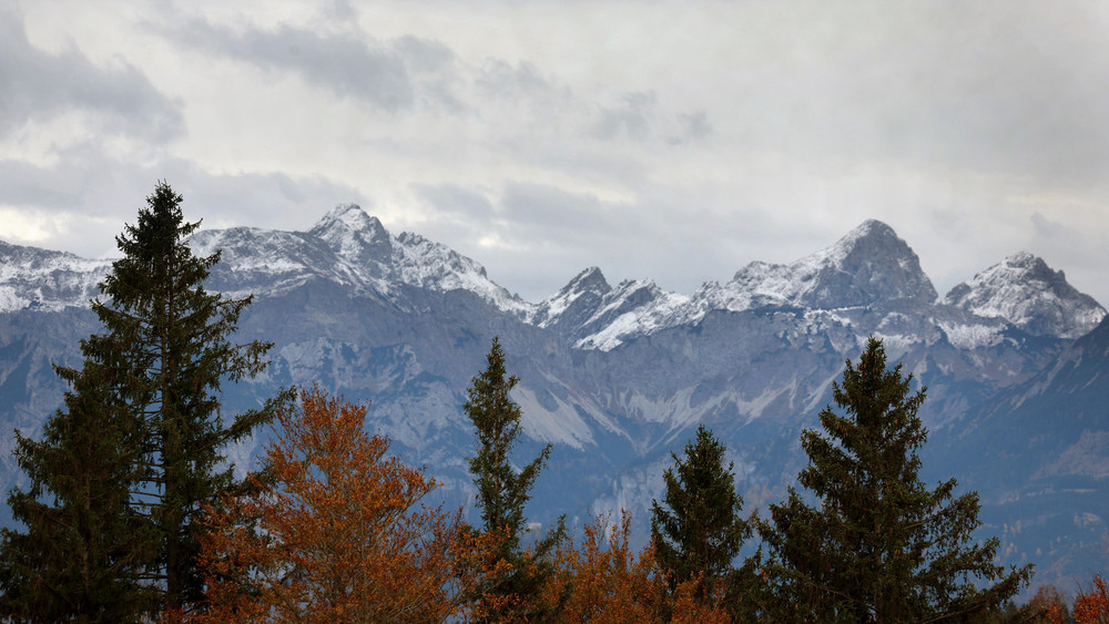 Hinter herbstlichen Bäumen stehen die schneebedeckten Alpen.