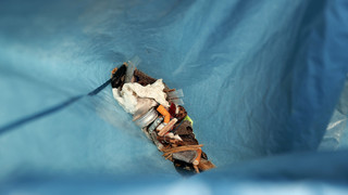 Aktionstag "Sauberhafter Schulweg": Tausende Schüler sammeln Müll