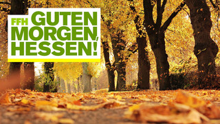 5 Herbst-Sätze, die Männer und Frauen nie sagen würden