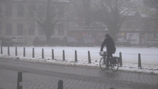 Januar-Blues: Was die Stimmung aufhellt