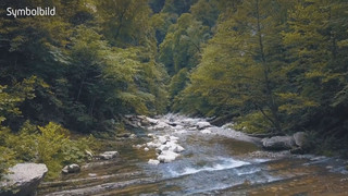 «Hands off Nature»: Millionen Unterschriften gegen EU-Reform