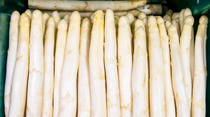 Spargel: Liebes- und Schmähbrief