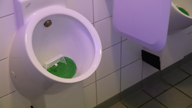 Wie die Schultoiletten in Rüsselsheim bald aussehen könnten