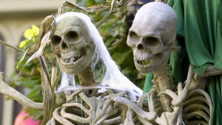 Saulheim: Polizeieinsatz nach Knochenfund an Bahngleis