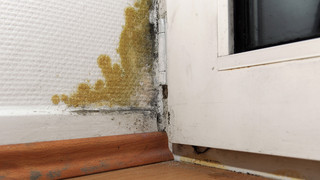 Mietminderung: Stressfrei bei Mängeln Miete reduzieren