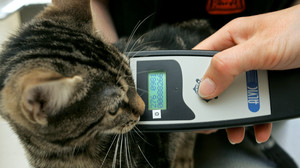 EU-weite Chip-Pflicht für Haustiere