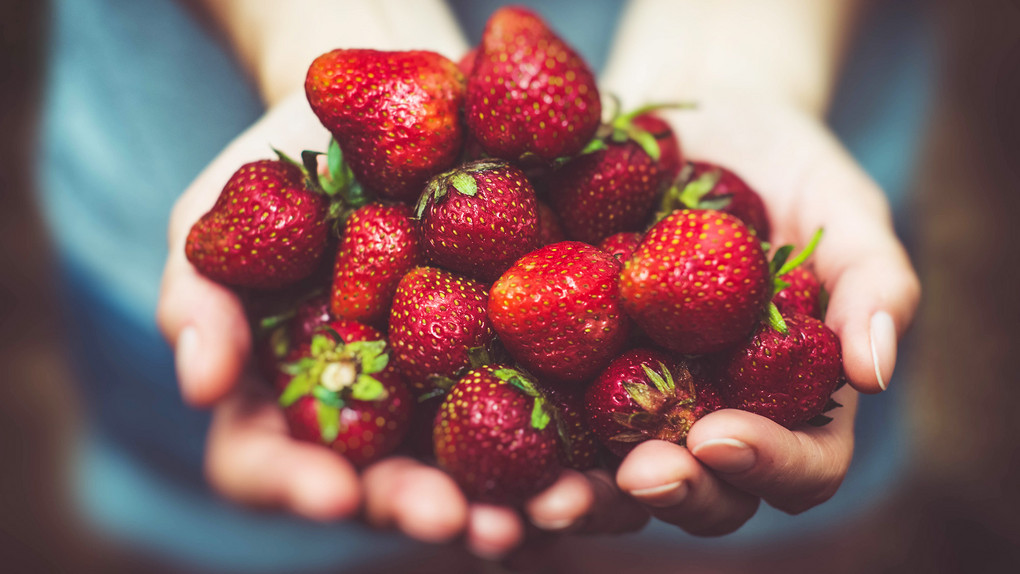 Erdbeer-Saison: Die besten Tipps und Rezepte