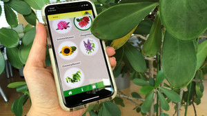 Praktische Garten-Apps für Einsteiger und Profis