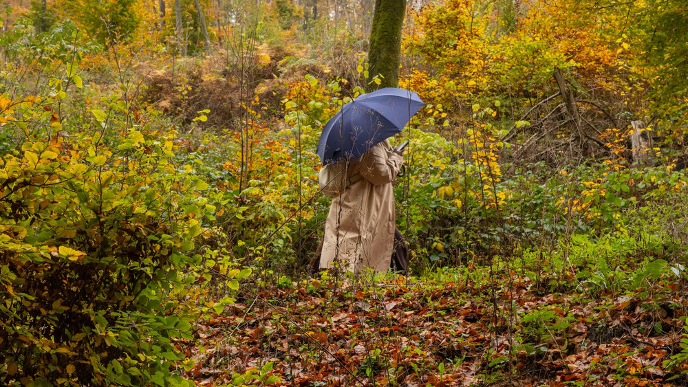 Herbst in Hessen