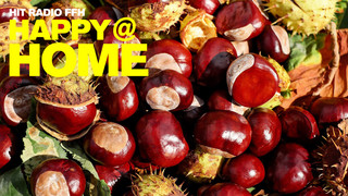 Basteln mit Kastanien: Die besten Tipps für die ganze Familie