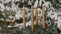 Adventszauber Kobelt Zoo Frankfurt