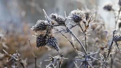 Kreuz & Quer am 28. Dezember - Zwischen den Jahren