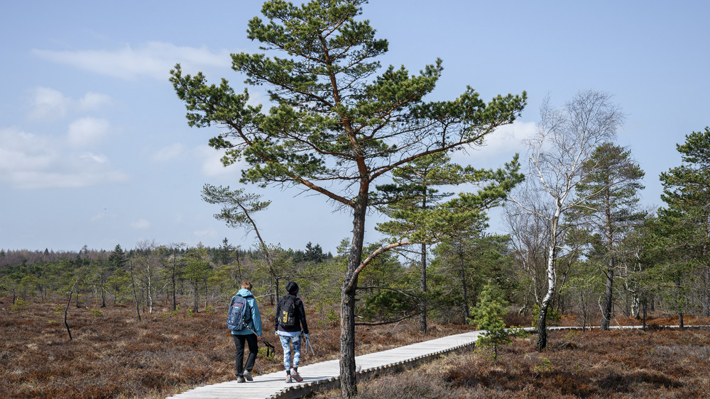Der Bohlensteg im Schwarzen Moor in der Rhön muss vorübergehend gesperrt werden (Archivbild). 