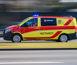 Baum umgestürzt bei Flensburg zwei Tote