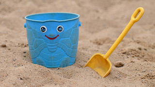 Sandbienen auf Spielplätzen: Stadt Hofheim beruhigt besorgte Eltern