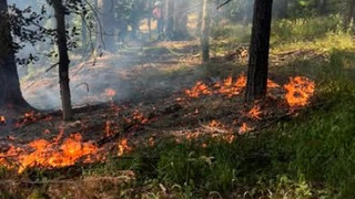 Waldboden in Herborn-Seelbach brannte - Feuerwehr rückt am Abend aus