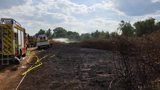 Flächenbrand am Leinpfad zwischen Winkel und Geisenheim am Rhein