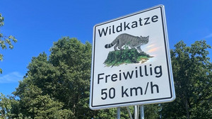 Freiwillig nur 50 km/h: Mehr Wildkatzen im Kroftorfer Forst