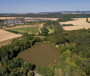Hitzestress in Hessen bedroht viele Fische