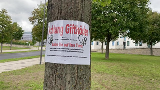 Giftköder im Frankfurter Bonifatiuspark: Mittlerweile neun Hunde tot