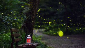 Faszinierende Glühwürmchen-Fakten: Leuchtende Begleiter im Sommer