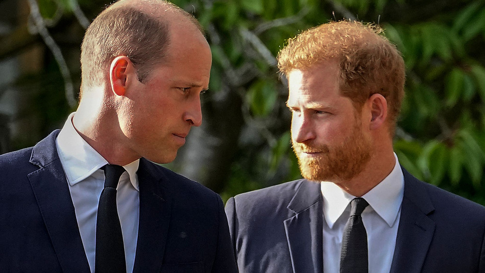 Prinz William und Prinz Harry