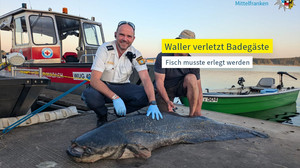 Fünf Badegäste gebissen: Polizist erschießt Zwei-Meter-Fisch