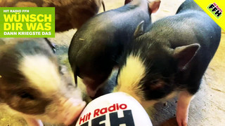 Wünsch dir was: Saskia gewinnt Schweine