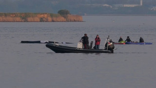 Rettung mit Risiko: Schafft es der Wal zurück ins Meer?