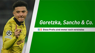 Goretzka, Sancho & Co. - Diese Profis sind immer noch vereinslos