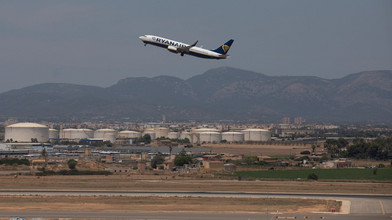 Hundewelpe stört Flugbetrieb am Mallorca-Flughafen