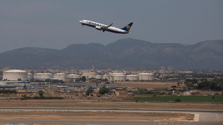 Hundewelpe stört Flugbetrieb am Mallorca-Flughafen