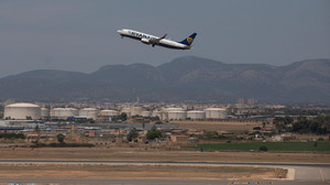 Hundewelpe stört Flugbetrieb am Mallorca-Flughafen