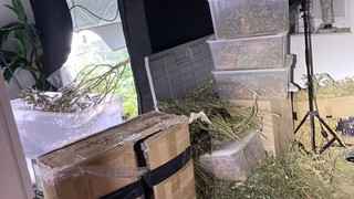 Drogenverstecke in Hessen aufgedeckt und drei Verdächtige verhaftet
