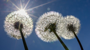 Bilder des Tages