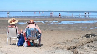 Klimawandel: Temperatur der Nordsee auf Rekordhoch