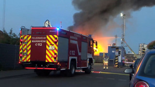 Feuer im Industriehafen: Mannheimer Feuerwehr kämpft gegen meterhohe Flammen