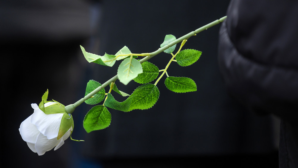 Ein elfjähriges Kind kommt nicht mehr nach Hause