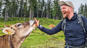 Spendenwanderung: Darmstädter läuft 350 km für den Tierschutz