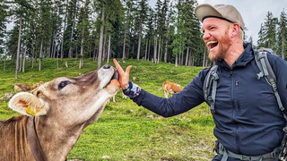 Spendenwanderung: Darmstädter läuft 350 km für den Tierschutz