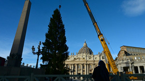 Weihnachtsbaum auf dem Petersplatz läutet Adventszeit ein