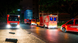 Deutsche «Hondius»-Passagiere auf dem Weg nach Frankfurt