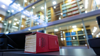 Oberverwaltungsgericht: AfD zu Recht rechtsextremer Verdachtsfall