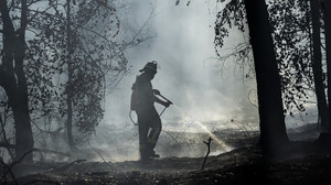 Waldbrand bei Rodenbach mit mehreren Brandherden