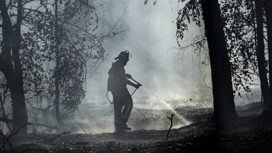 Waldbrand bei Rodenbach mit mehreren Brandherden