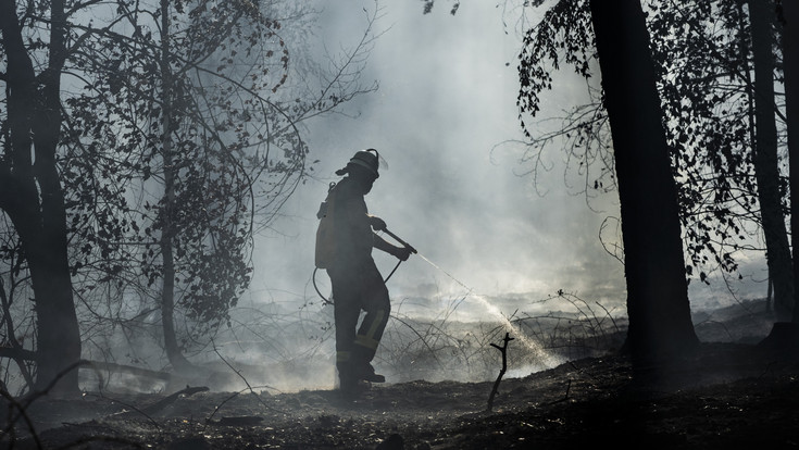 Waldbrand bei Rodenbach mit mehreren Brandherden