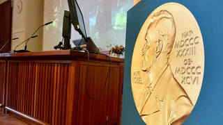 Nobelpreis für Medizin geht an zwei US-Amerikaner