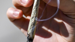 Cannabis-Checks im Club - Wiesbaden zieht positive Bilanz